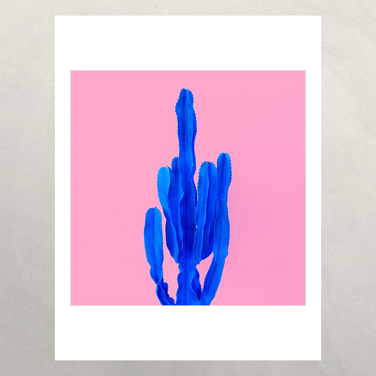 Blue Pop Cactus