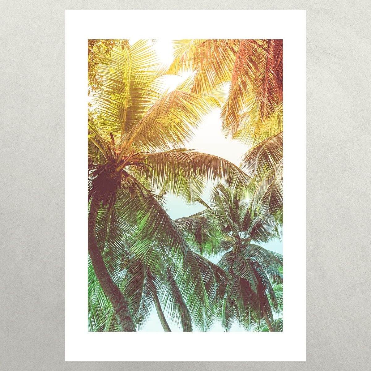High Palms on Tropical Beach