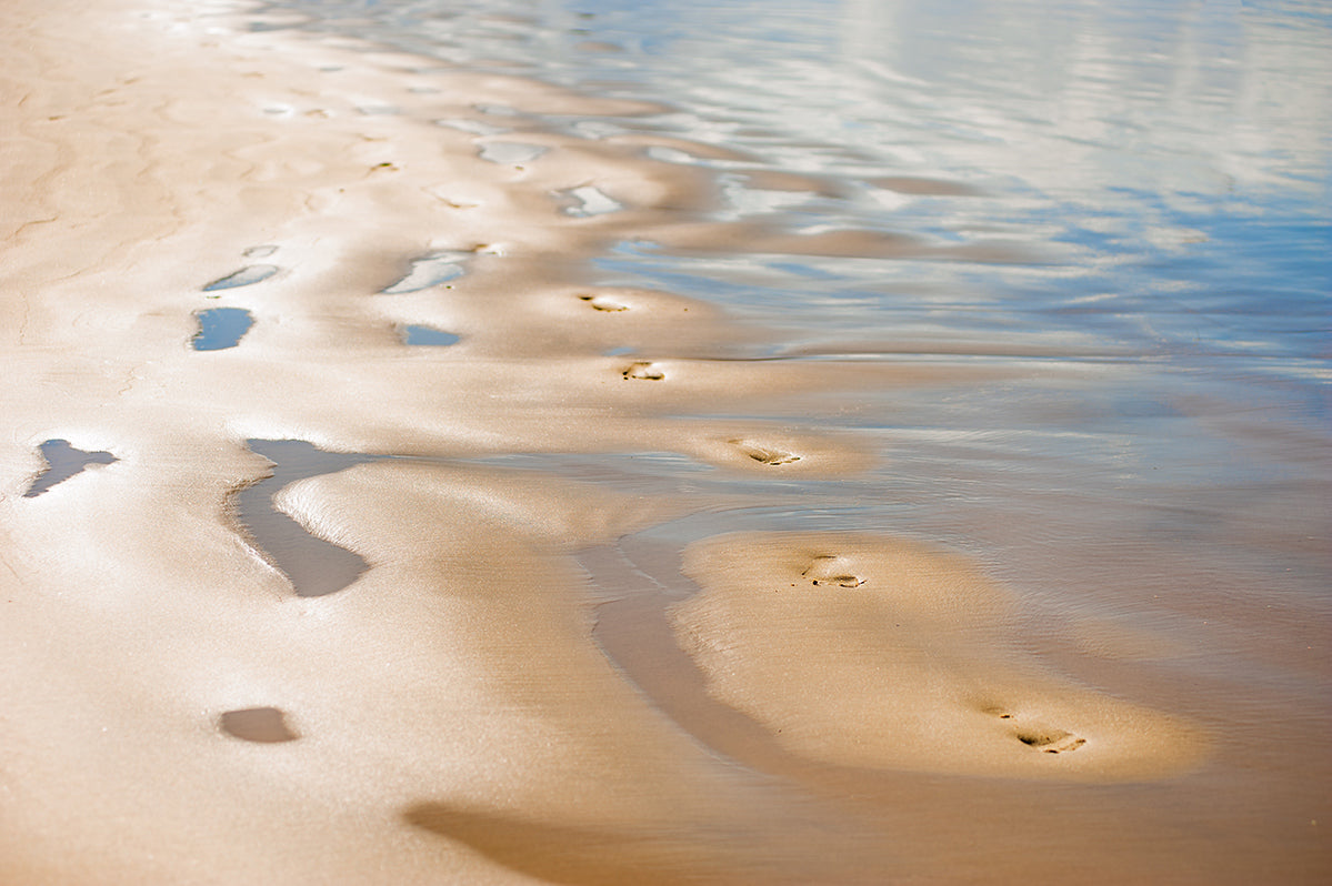 Steps on Wet Sand