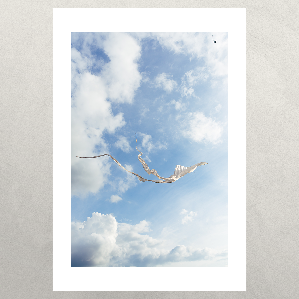White Kite Flying Against the Blue